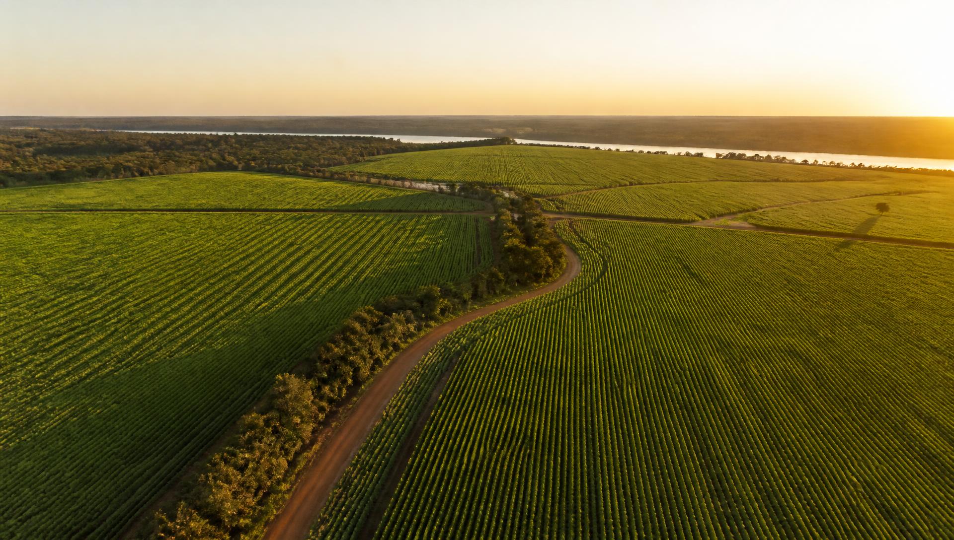 EXEMPLO — Fazenda Agrícola de Alta Produtividade